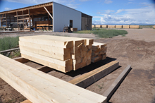 We make a variety of wood products, Rocky Mountain Timber Products, Del Norte, Colorado